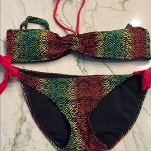 Multicolor Zebra Print Bikini